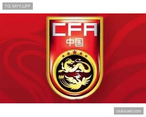 河南队针对密集赛程调整人员轮换，主力球员体能面临极大考验